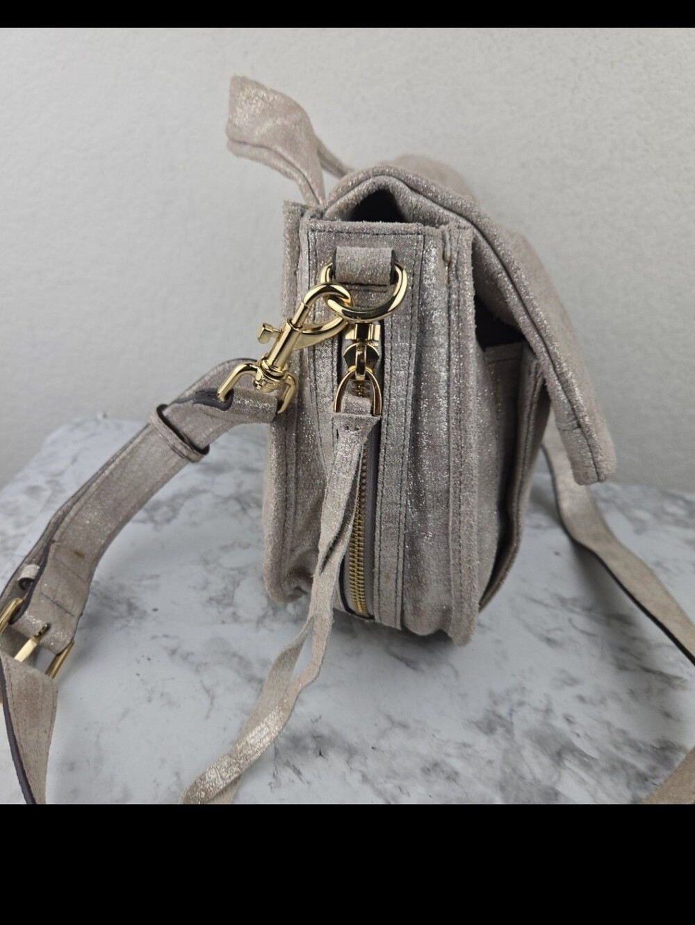 Aimee Kestenberg Metallic Bag View 5